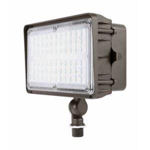 Traditional LED Flood Light